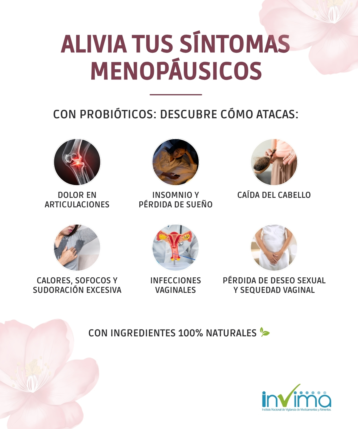 Beneficios detallados del probiótico menopáusico